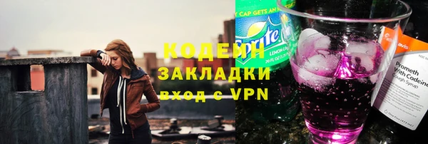 крисы Краснослободск