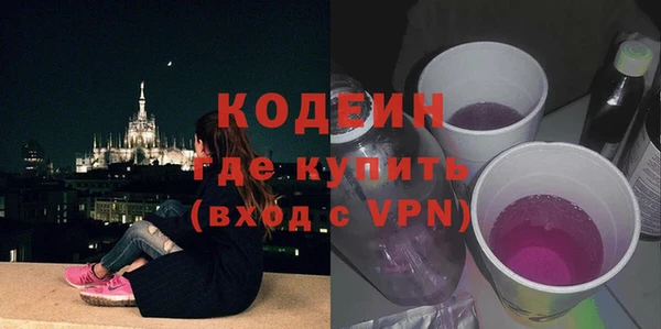 крисы Краснослободск
