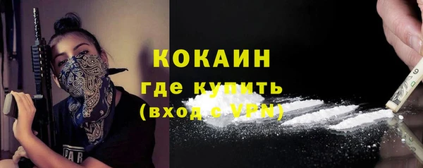 крисы Краснослободск