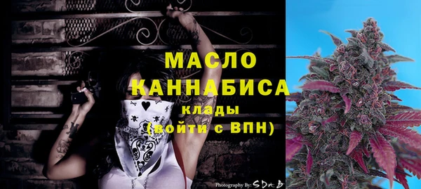 крисы Краснослободск