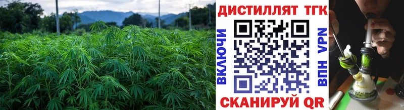 Дистиллят ТГК вейп с тгк KRAKEN зеркало Ялуторовск дарнет шоп