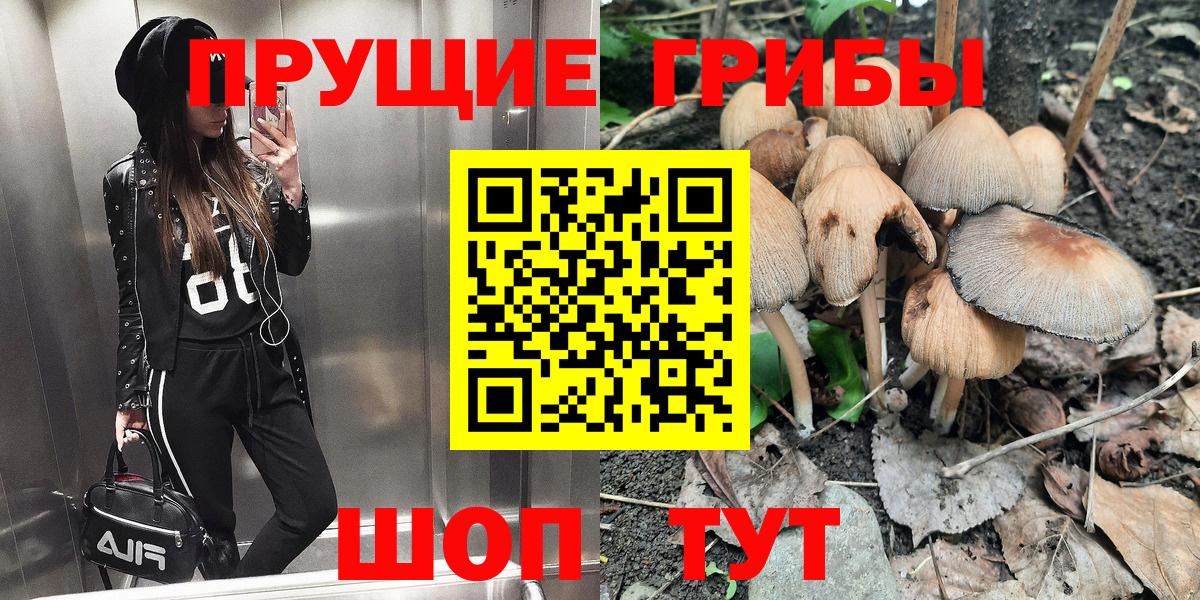Псилоцибиновые грибы прущие грибы Ялуторовск