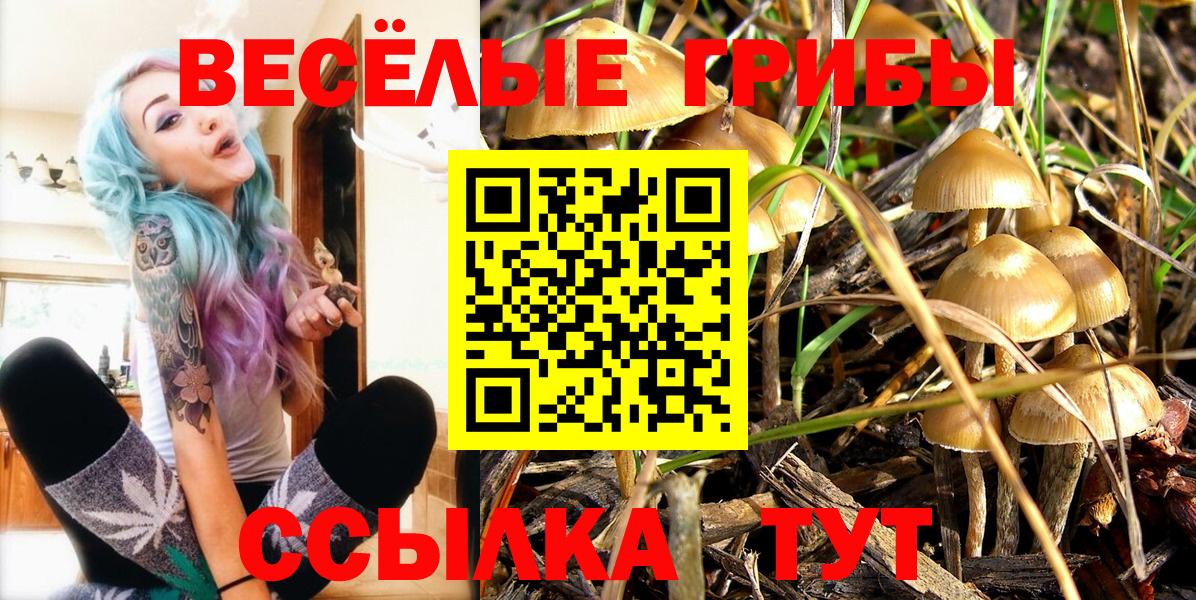 Галлюциногенные грибы Psilocybine cubensis  Вход с VPN  Ялуторовск  Псилоцибиновые грибы Magic Shrooms 